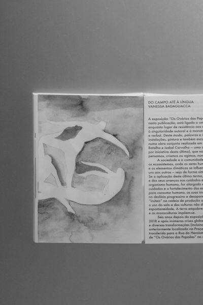 09_bbdw26_BM_OsOv&aacute;riosdasPapoilas