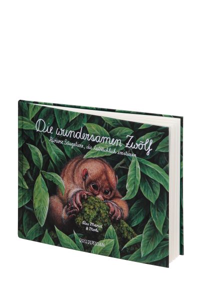 Die wundersamen Zwölf Die wundersamen Zwölf